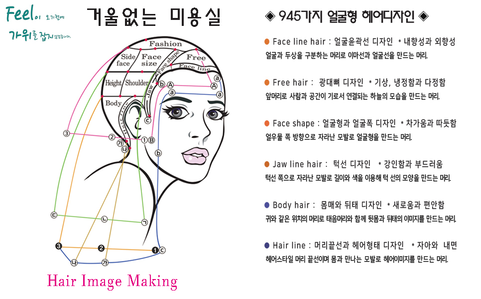 에스필로 4D커트 